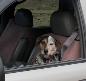 Here's looking at you, kid!