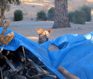 Waiting for someone to throw the frisbee