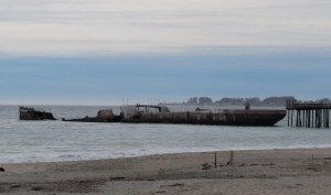 The Palo Alto now.  Ugh!