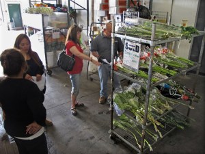 Checking the flowers twice at Mellanos