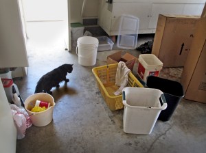 Where can I go to hide?