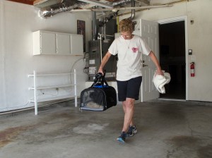 BC was last out of the house.  She's not too pleased to be in her crate.