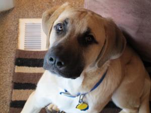 What's not to love about this sweet face?