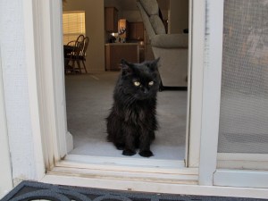 BC waiting to go outside