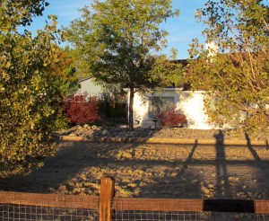 The back side of the house