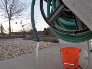 Cold morning! The bird bath was frozen solid
