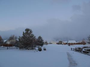 A lone pathway to get the paper