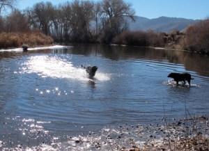 Enjoying a day at the Carson River
