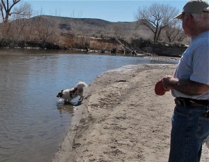 Molly testing the Carson River