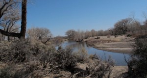 Kinda looks like the desert it is, eh?  It'll be prettier when everything begins to leaf out.