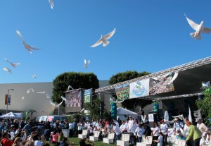 Donor families releasing doves.  It's always an inspirational portion of the program, especially when you know someof the donor families and/or have been directly affected by donation.