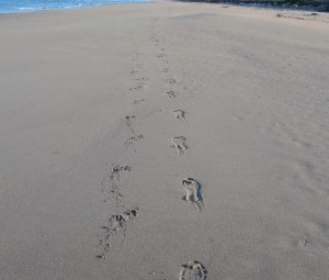 Best friends making tracks together