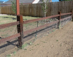The chicken wire on the east side of the fence