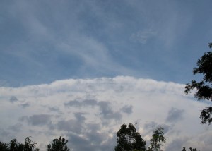 Do you think it's an omen?