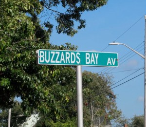 The best we could do in Buzzards Bay town