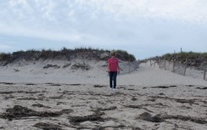These dunes have a very fine sand, unlike sand on the west coast.