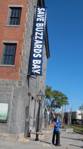 The Buzzard saving the Bay!