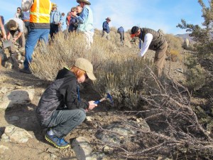 Dalan looking for the greenish epidote