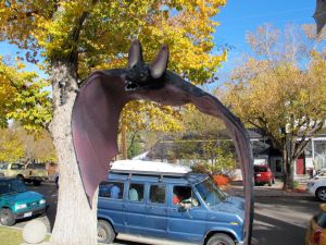 One of our batty neighbors