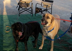 Jerri’s four legged boys were waiting for us a camp. Buddy and Max (Maxwell von Biddle when he’s in trouble).