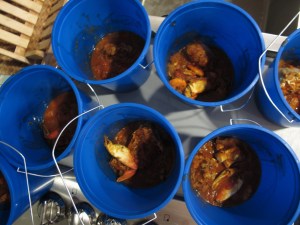 Cioppino servings in paint buckets, ala Baptista Cioppino Feed. They had red buckets, but I couldn’t find them. I also wanted to have lobster bibs but I couldn’t find any place in Carson City that carried them.
