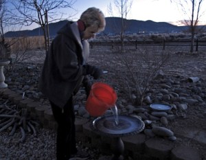 Filling the birdbath and the tin in the background