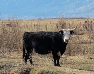 This lady had not had her baby yet, but was kind enough to pose for me after getting a drink.