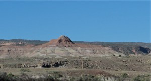 The Fruita Paleontological Area