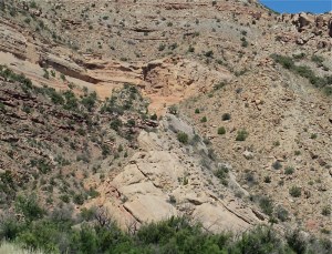 The Great Uncomformity?  At the very least, it's a visible fault in the earth