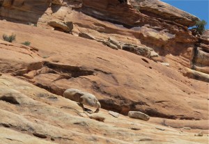 Look in the low center of the picture and you’ll see a peculiarly balanced rock. Steve said he had been watching it for years, waiting to see if and when it falls. 