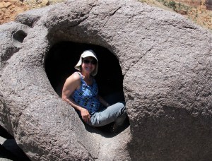 Shirley is checking out the bear