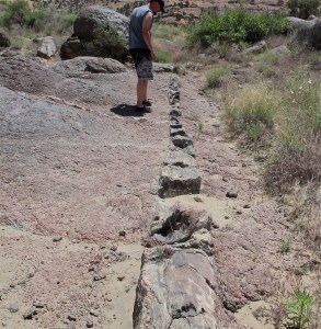 Chris is standing on the schist and looking at quartz dikes that came up in cracks of the schist before it totally cooled.   It really does look like someone placed a dike in the rock. Another dike is by Chris’ right foot and goes perpendicular to the large dike.