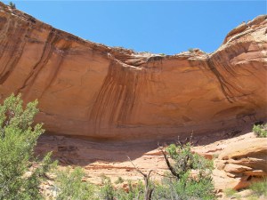 Steve told us that he heard a concert in this place and the acoustics were just about perfect. I thought it was a magical, spiritual place.