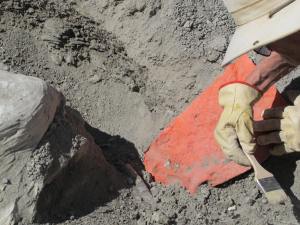 If you look to the left of the orange cloth, you’ll see a round thing and that is one of the “new” bones.