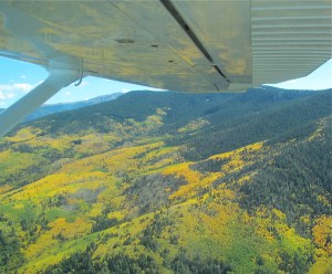 Aspen colors in the Sangre de Cristo Mountains