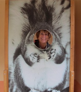 A squirrely picture of an Abert's squirrel