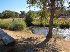 This creek is where the Taos pueblo people get their drinking water. Apparently, they don’t get sick because they have a built in immunity to the cooties in the water. 