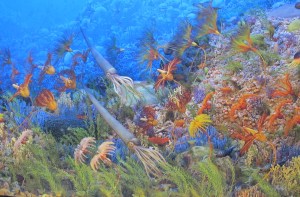  This is a background painting for their Divonian Sea exhibit.