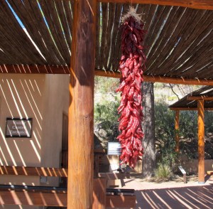 Another ristra. We wanted to bring one home but they were pretty expensive and we didn't ask if they could be shipped. Maybe next time.