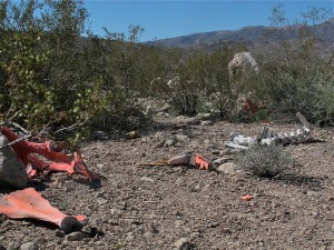 No pink elephants here!