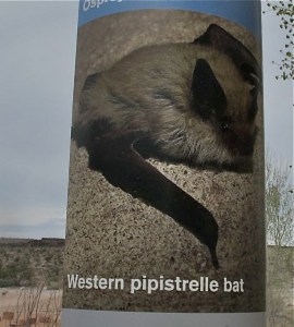 An informational post at the center.