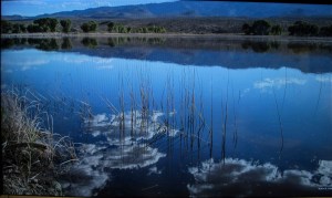 An Upper Lake picture on display at the Visitor Center
