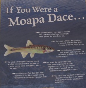 You definitely have to double click on this to see the text