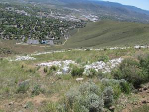 These are the painted rocks that form the "C." You can get a perspective of the steep incline when you look at the buildings below. The building with a parking lot is a good sized church.