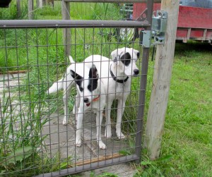 Hank! Helps us get out to join the fun!