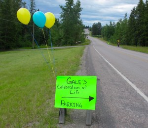 These are some of the trees that line the road in front of the Ritter Homestead.