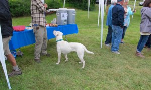 This party crasher just showed up and didn’t belong to anyone in the crowd. He tried to get tidbits from folks but it didn’t work.