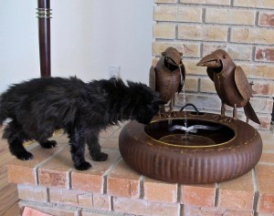 Inspecting a new toy that her mother received…spewing crows. She wanted to drink from it but didn’t care for the intermittent water.