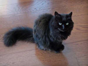 Rest in peace, little girl.