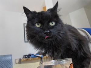 Did you put booze in here?